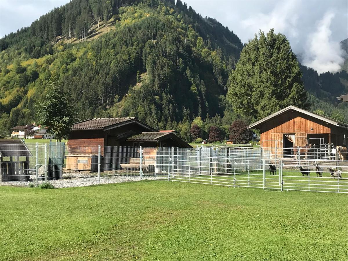 Pony-Ziegen-Hasen-Ranch Bichlbach Apartamento Exterior foto