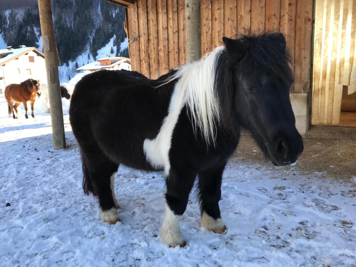 Pony-Ziegen-Hasen-Ranch Bichlbach Apartamento Exterior foto