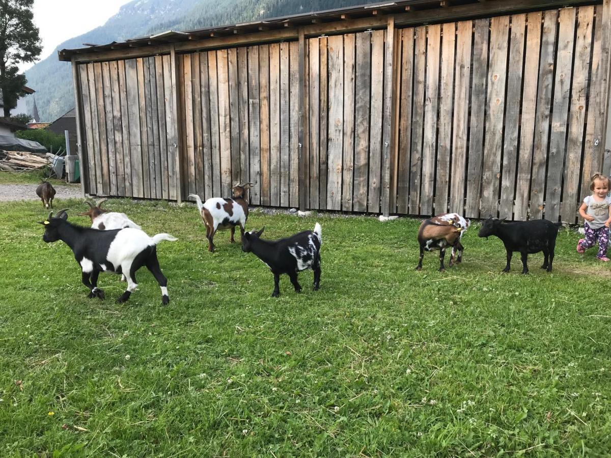 Pony-Ziegen-Hasen-Ranch Bichlbach Apartamento Exterior foto